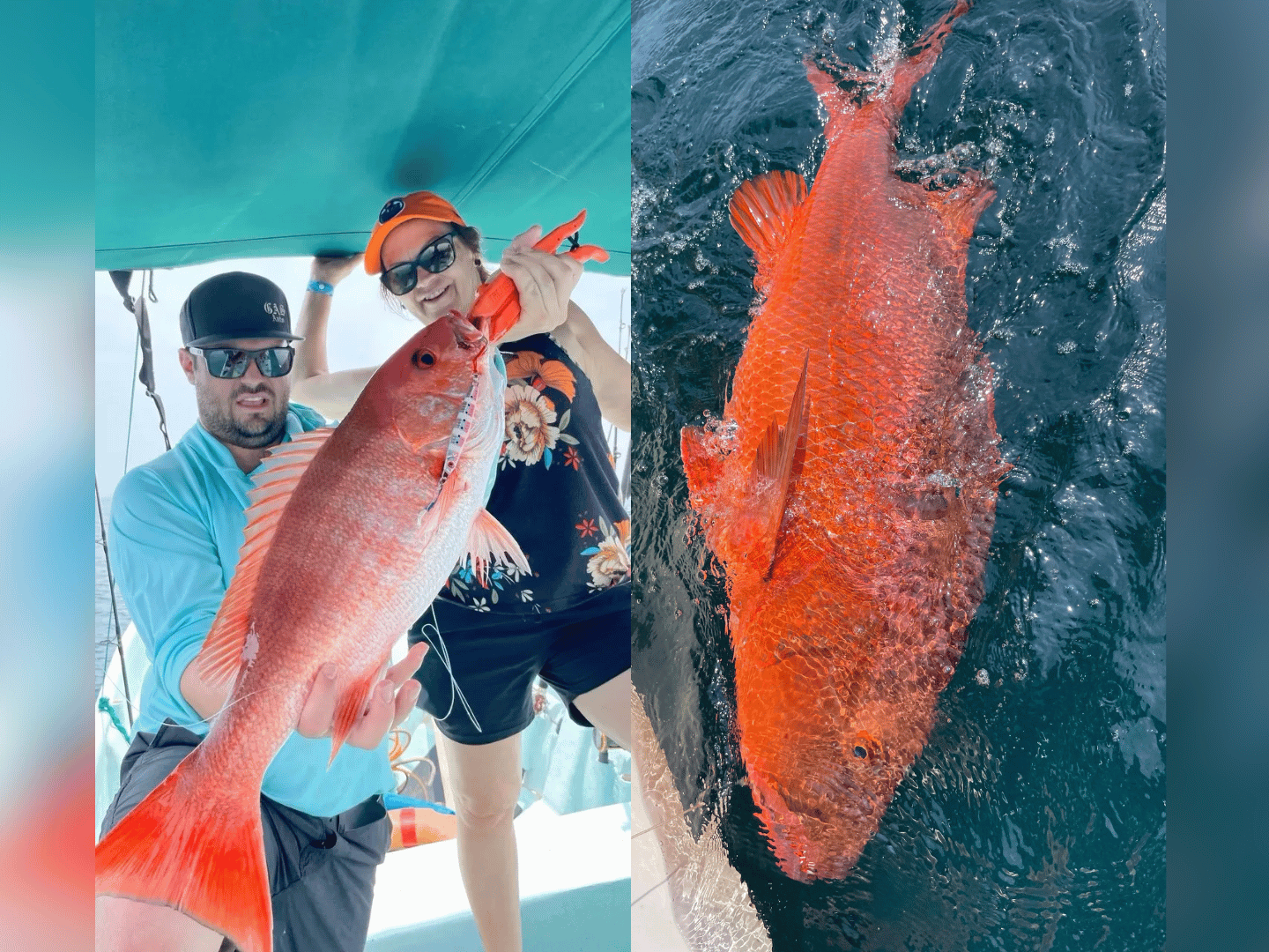 Offshore Fishing